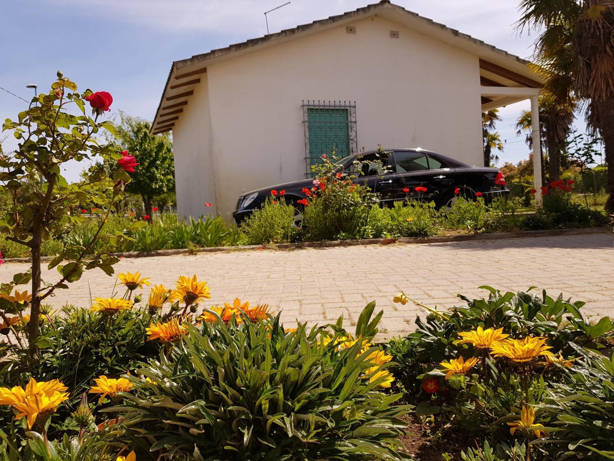 Bungalow Bei Emma Cavallino-Treporti Ngoại thất bức ảnh